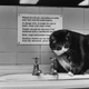 Illustration for article titled Gaze Upon This Famous Fat Cat Who Lived in a Train Station Toilet